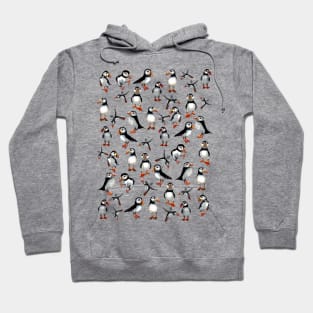 Puffins pattern Hoodie